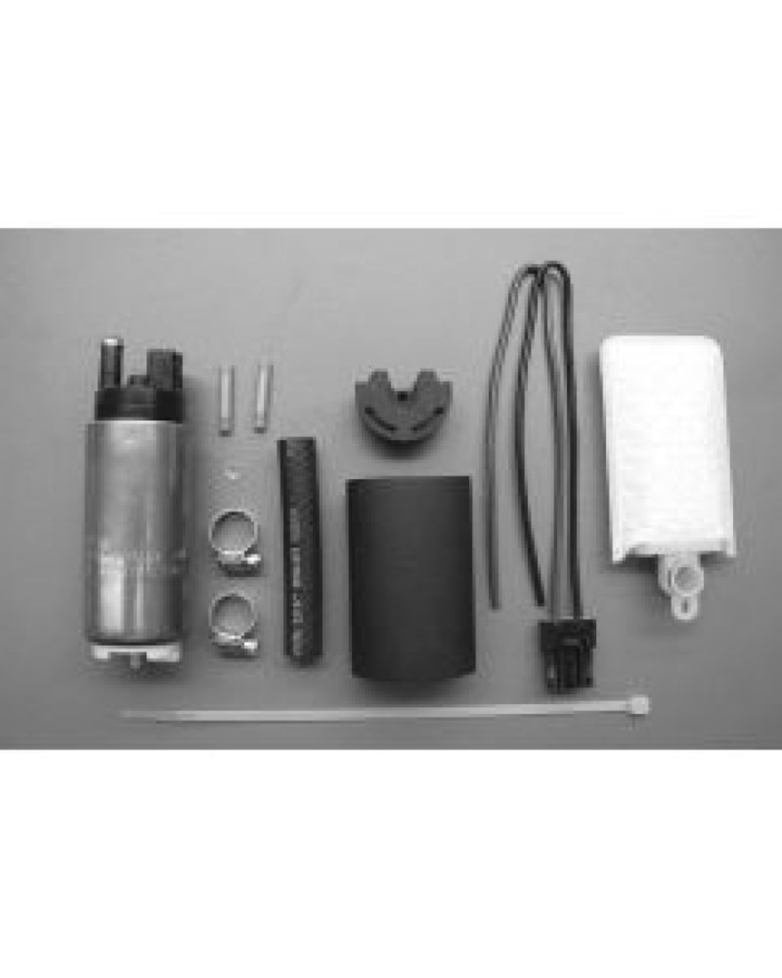 Picture of Walbro Fuel Pump/Filter Assembly