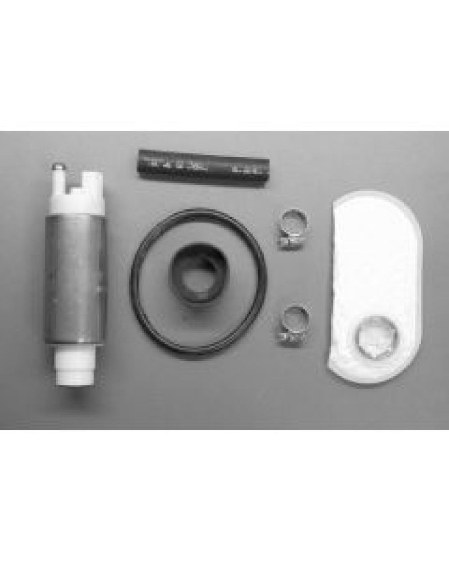 Picture of Walbro Fuel Pump/Filter Assembly