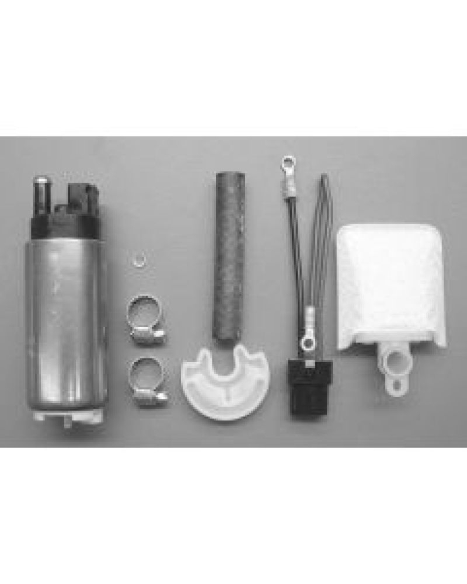 Picture of Walbro Fuel Pump/Filter Assembly