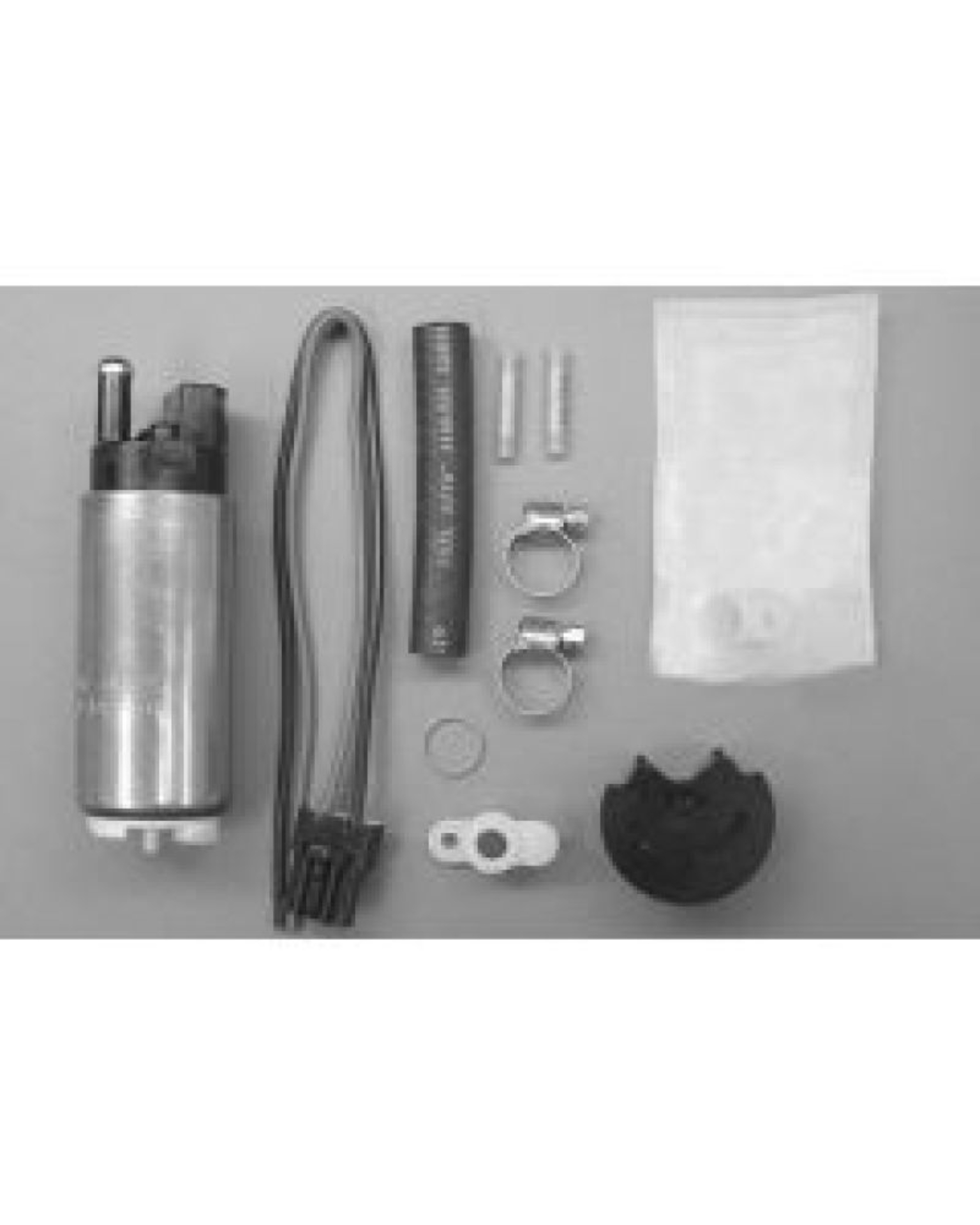 Picture of Walbro Fuel Pump/Filter Assembly
