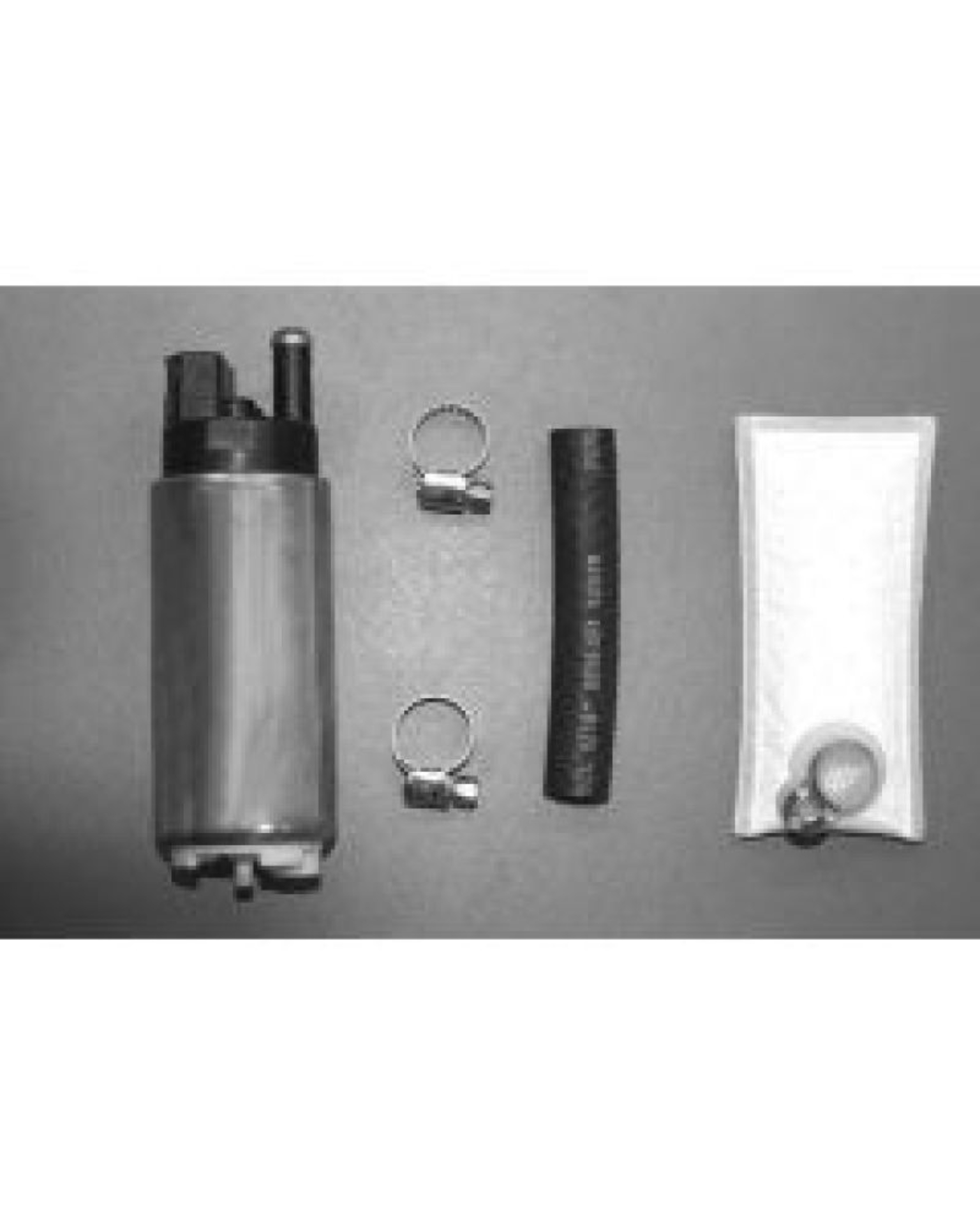 Picture of Walbro Fuel Pump/Filter Assembly