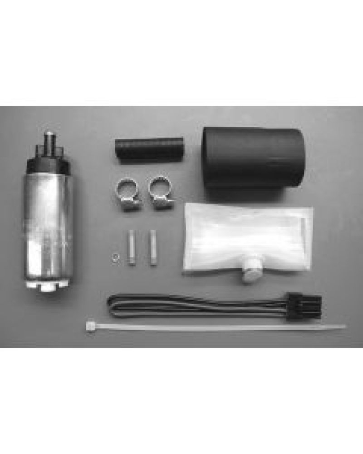 Picture of Walbro Fuel Pump/Filter Assembly