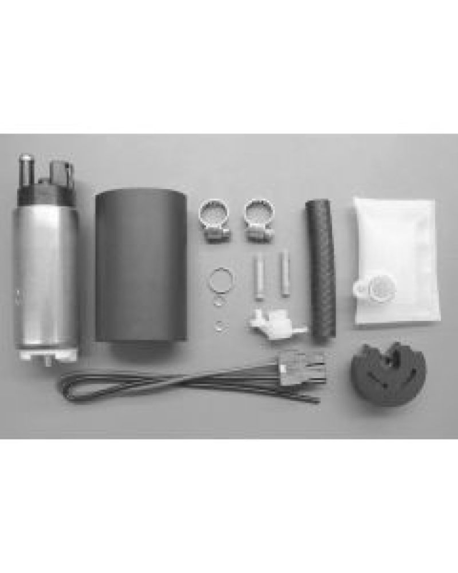 Picture of Walbro Fuel Pump/Filter Assembly