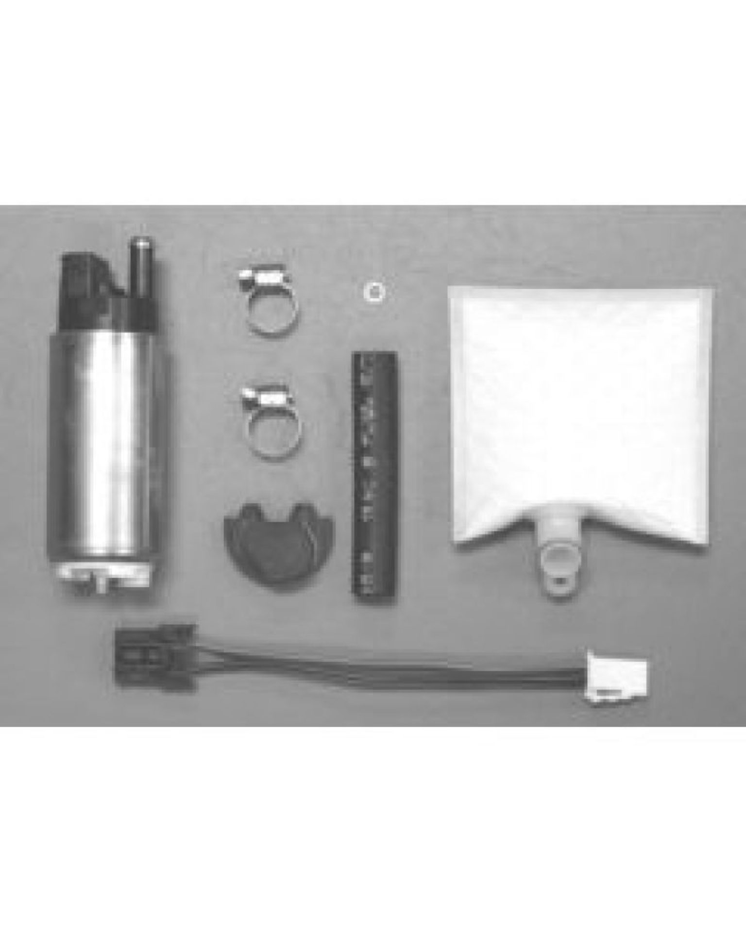 Picture of Walbro Fuel Pump/Filter Assembly
