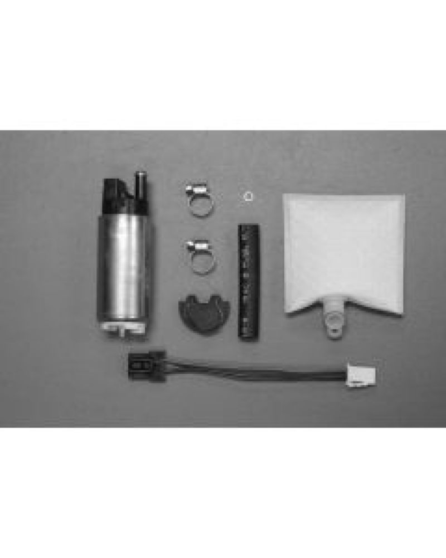 Picture of Walbro Fuel Pump/Filter Assembly
