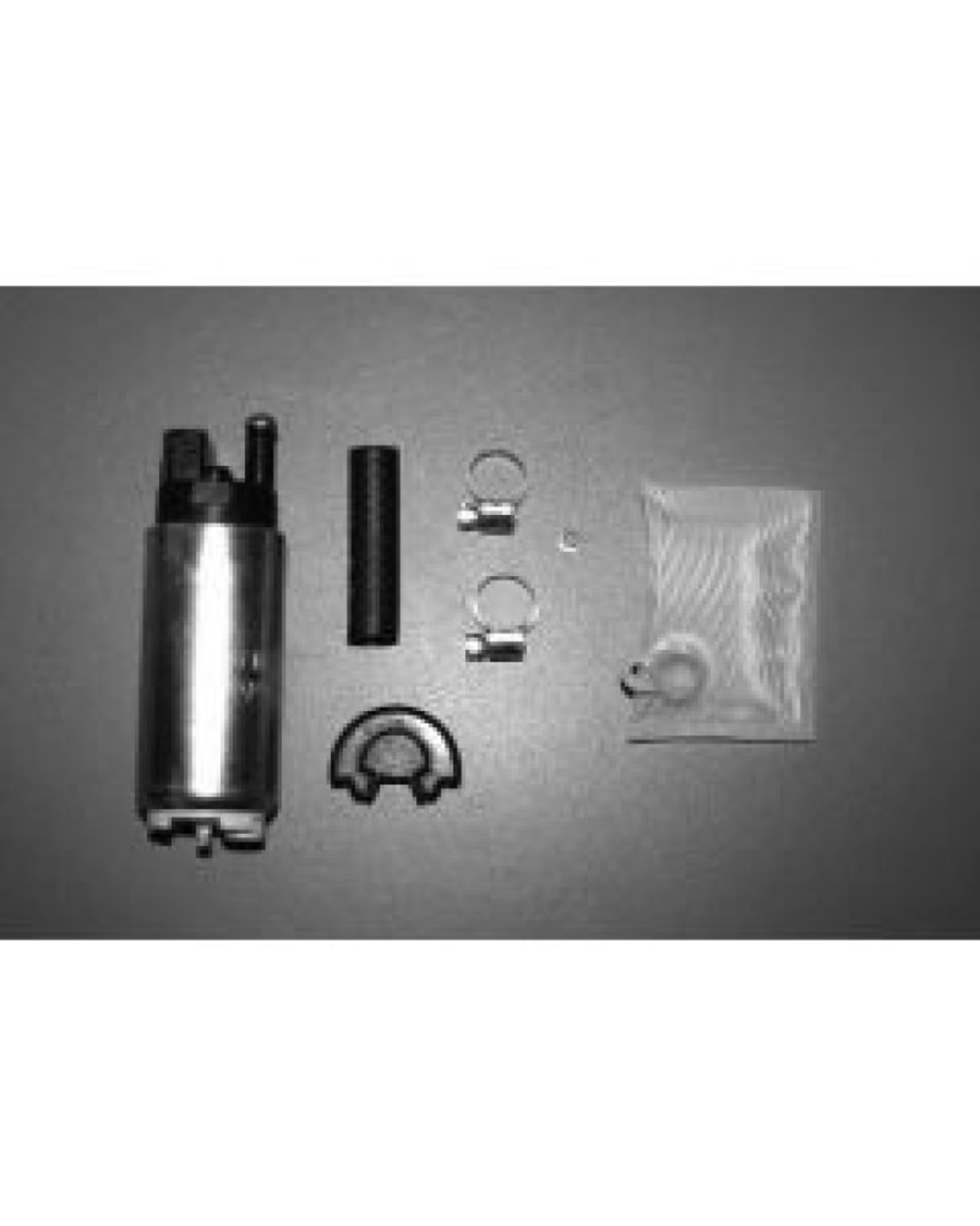 Picture of Walbro Fuel Pump/Filter Assembly