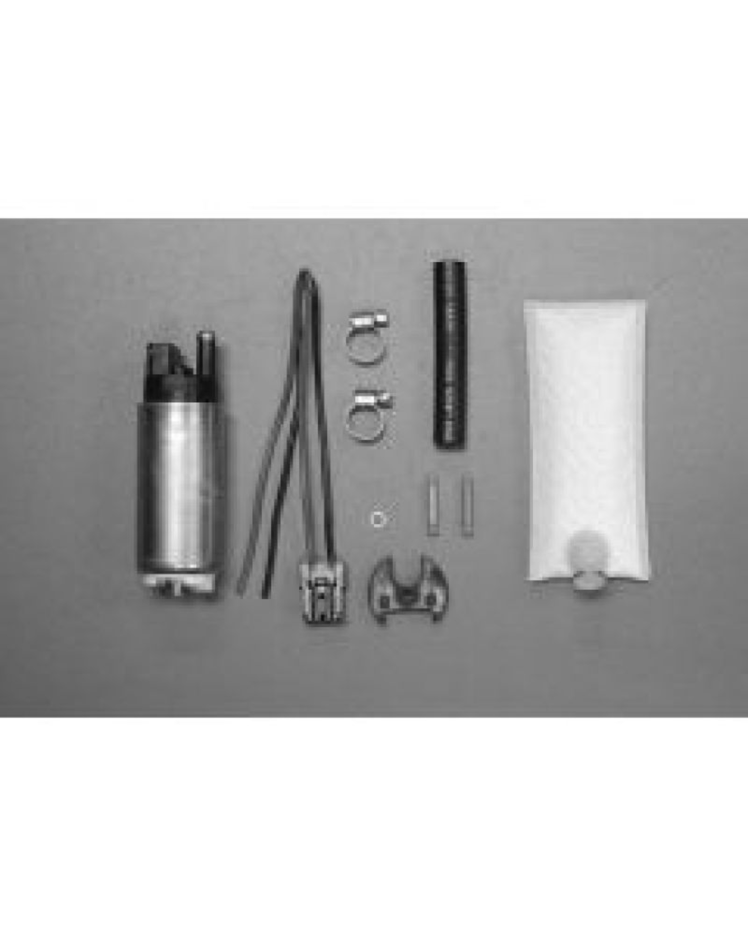 Picture of Walbro Fuel Pump/Filter Assembly