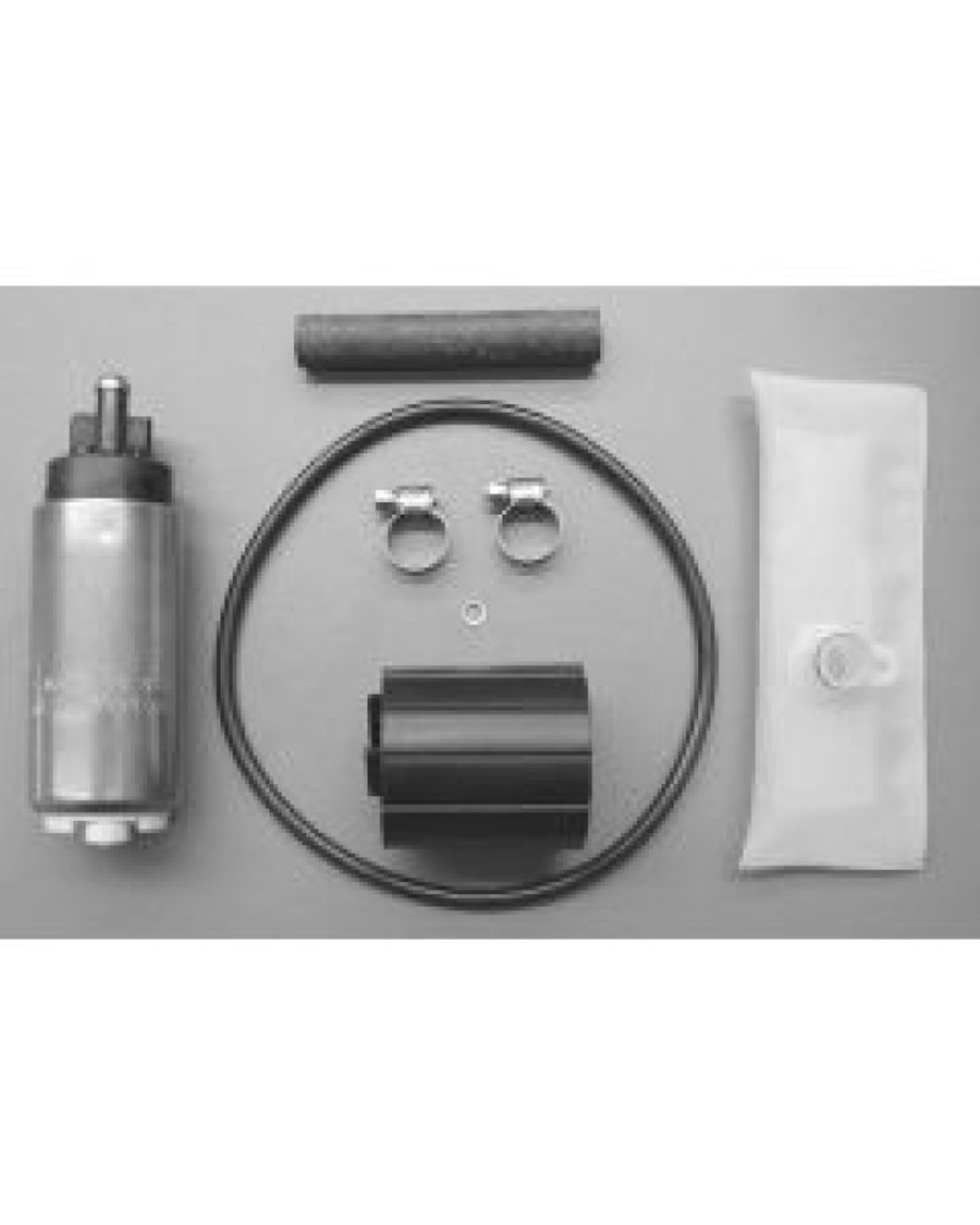 Picture of Walbro Fuel Pump/Filter Assembly