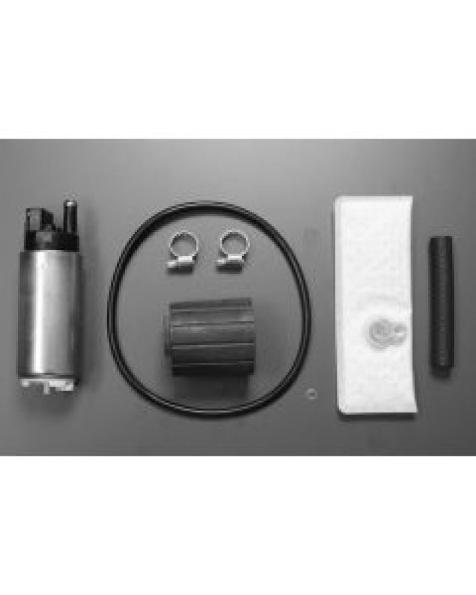 Picture of Walbro Fuel Pump/Filter Assembly
