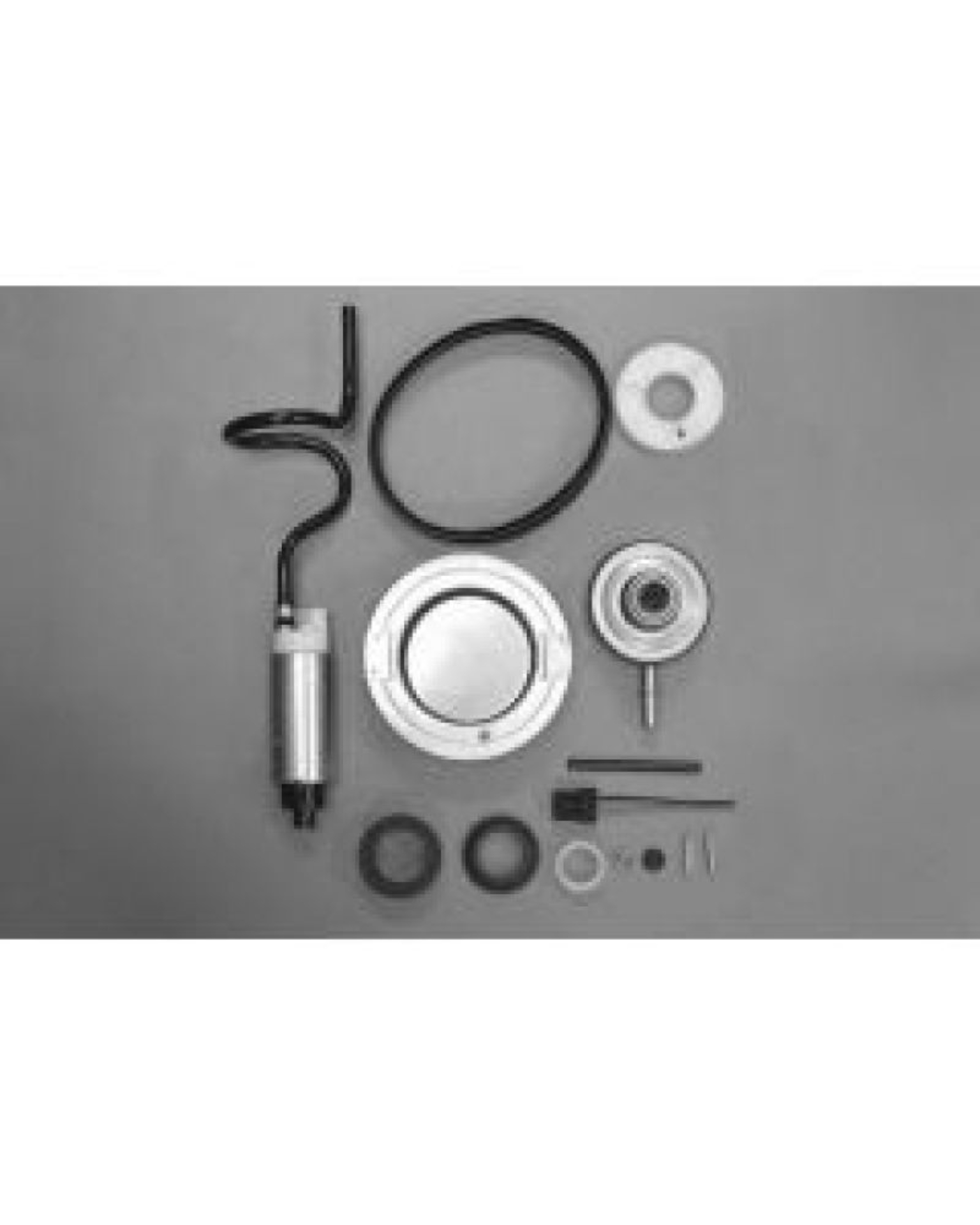 Picture of Walbro Fuel Pump/Filter Assembly