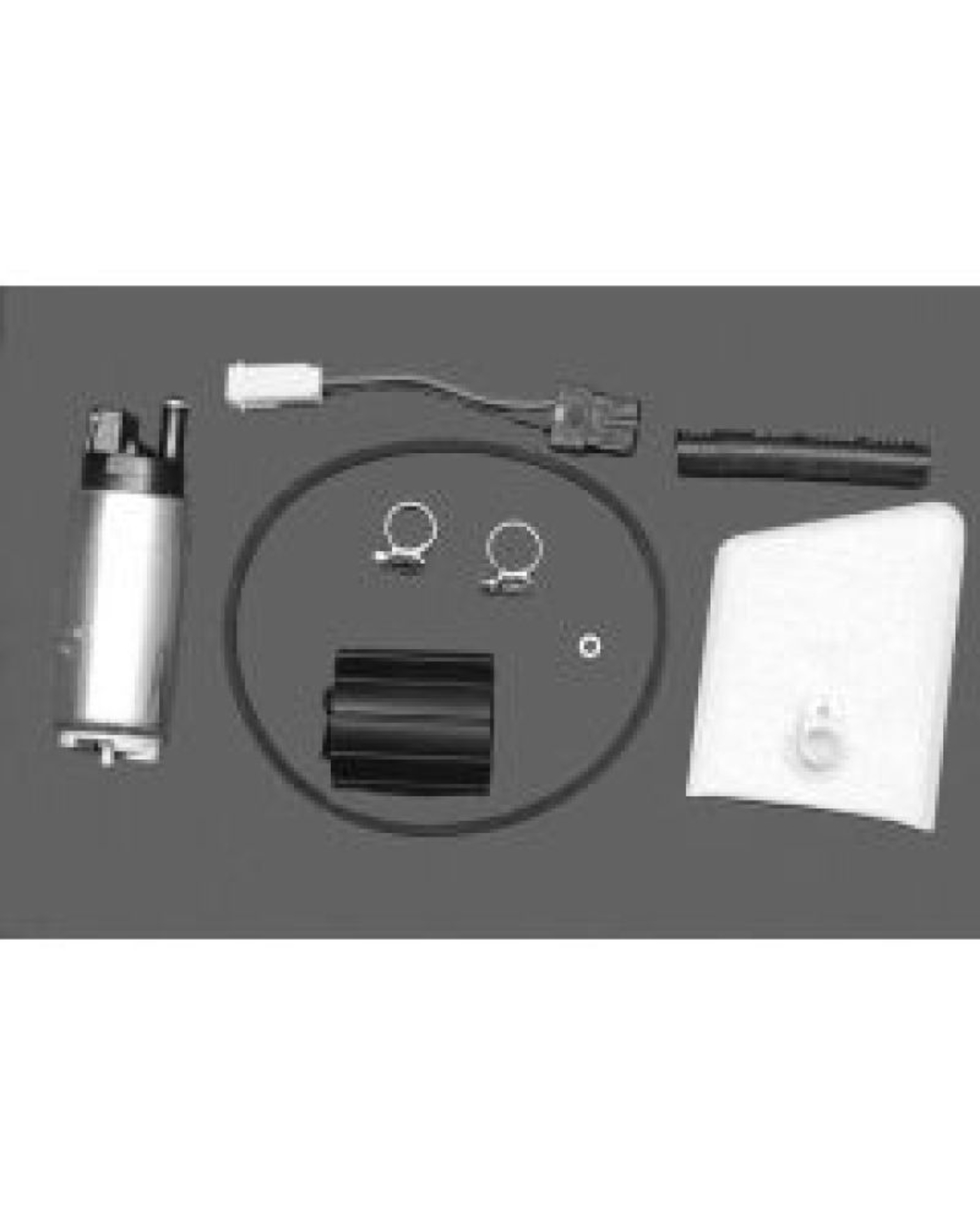Picture of Walbro Fuel Pump/Filter Assembly