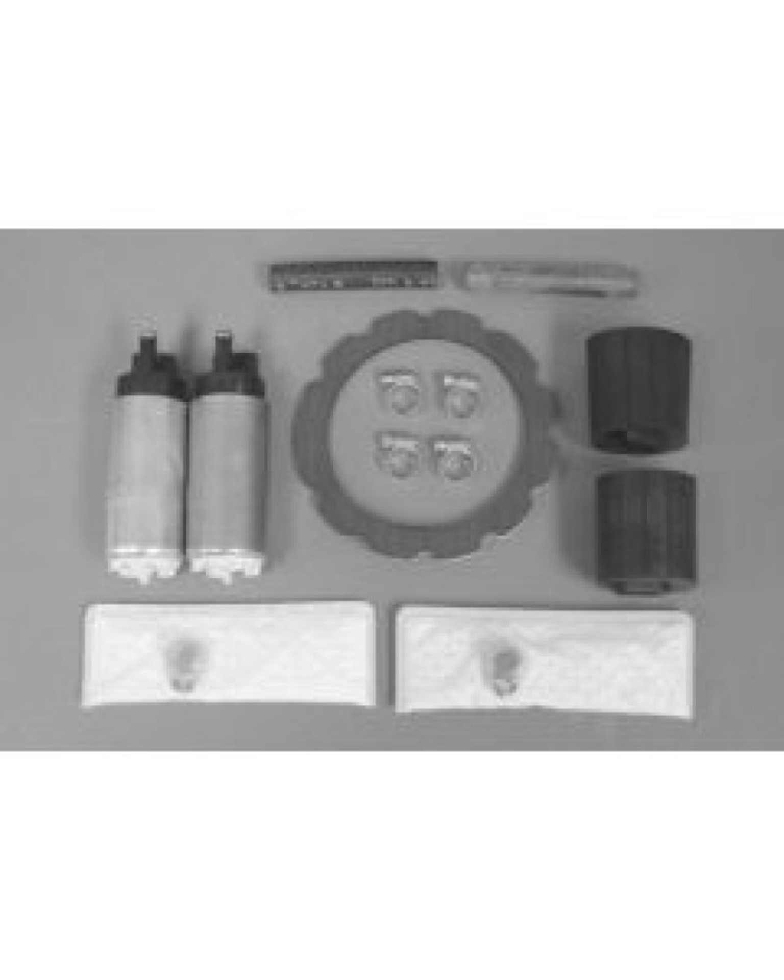 Picture of Walbro Fuel Pump/Filter Assembly