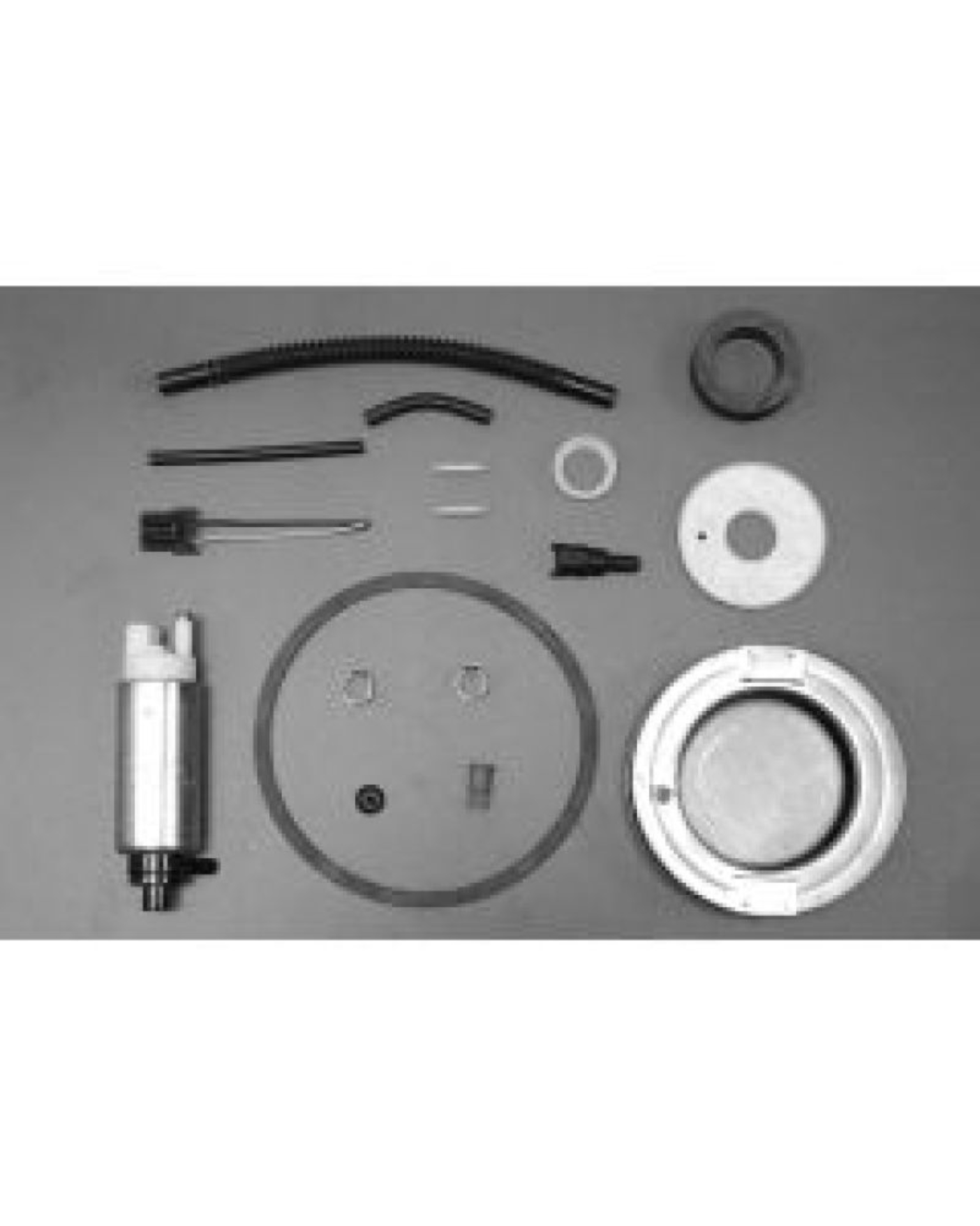 Picture of Walbro Fuel Pump/Filter Assembly
