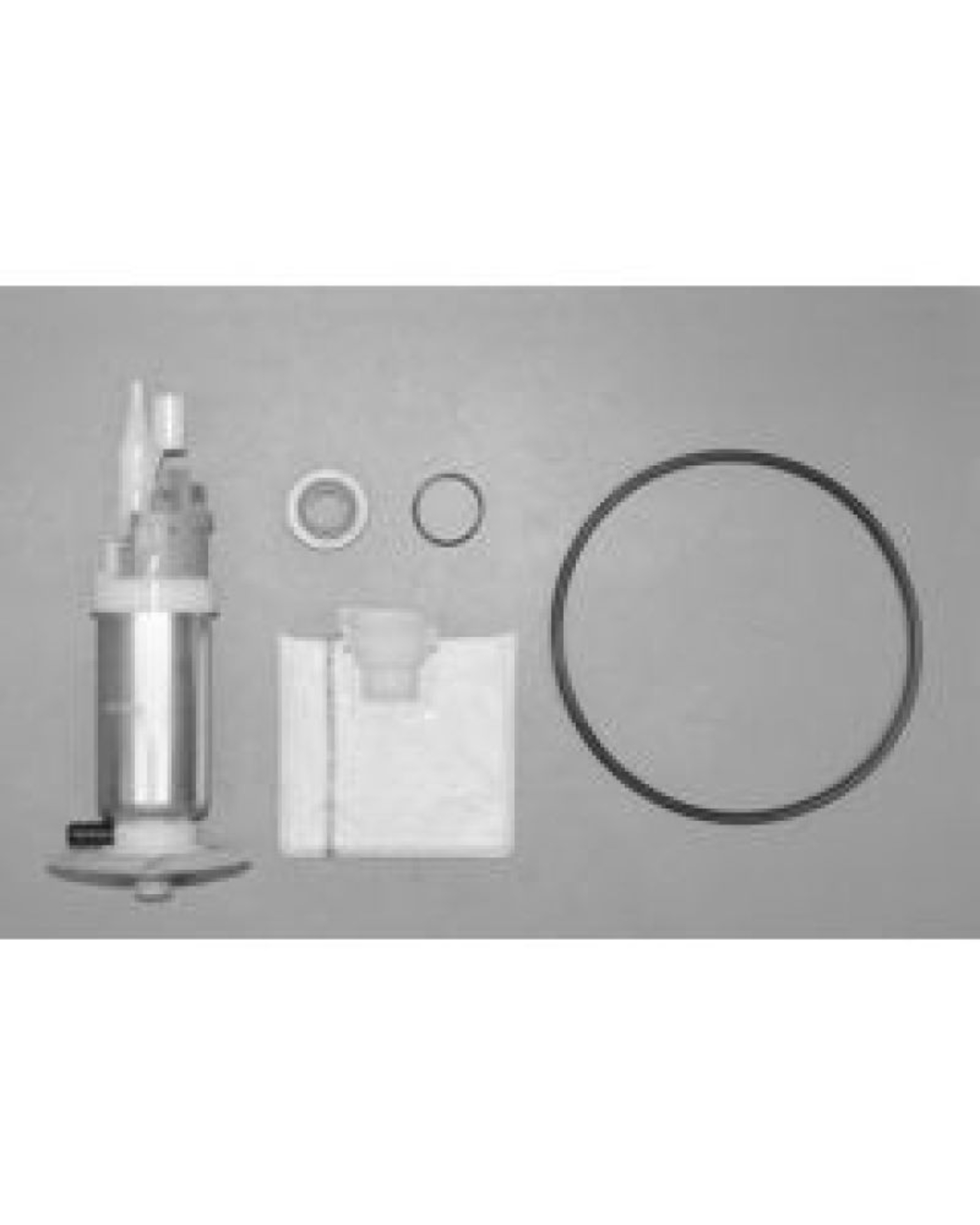 Picture of Walbro Fuel Pump/Filter Assembly