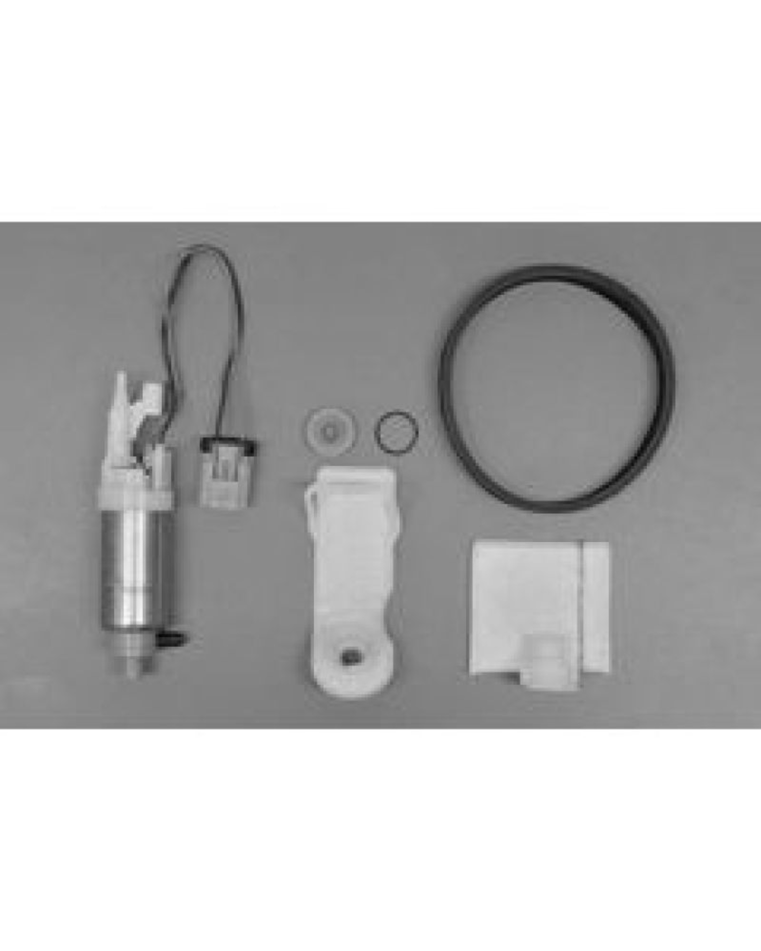 Picture of Walbro Fuel Pump/Filter Assembly