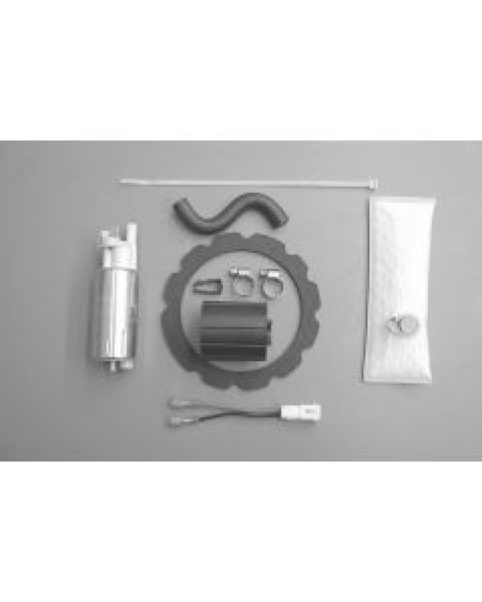 Picture of Walbro Fuel Pump/Filter Assembly