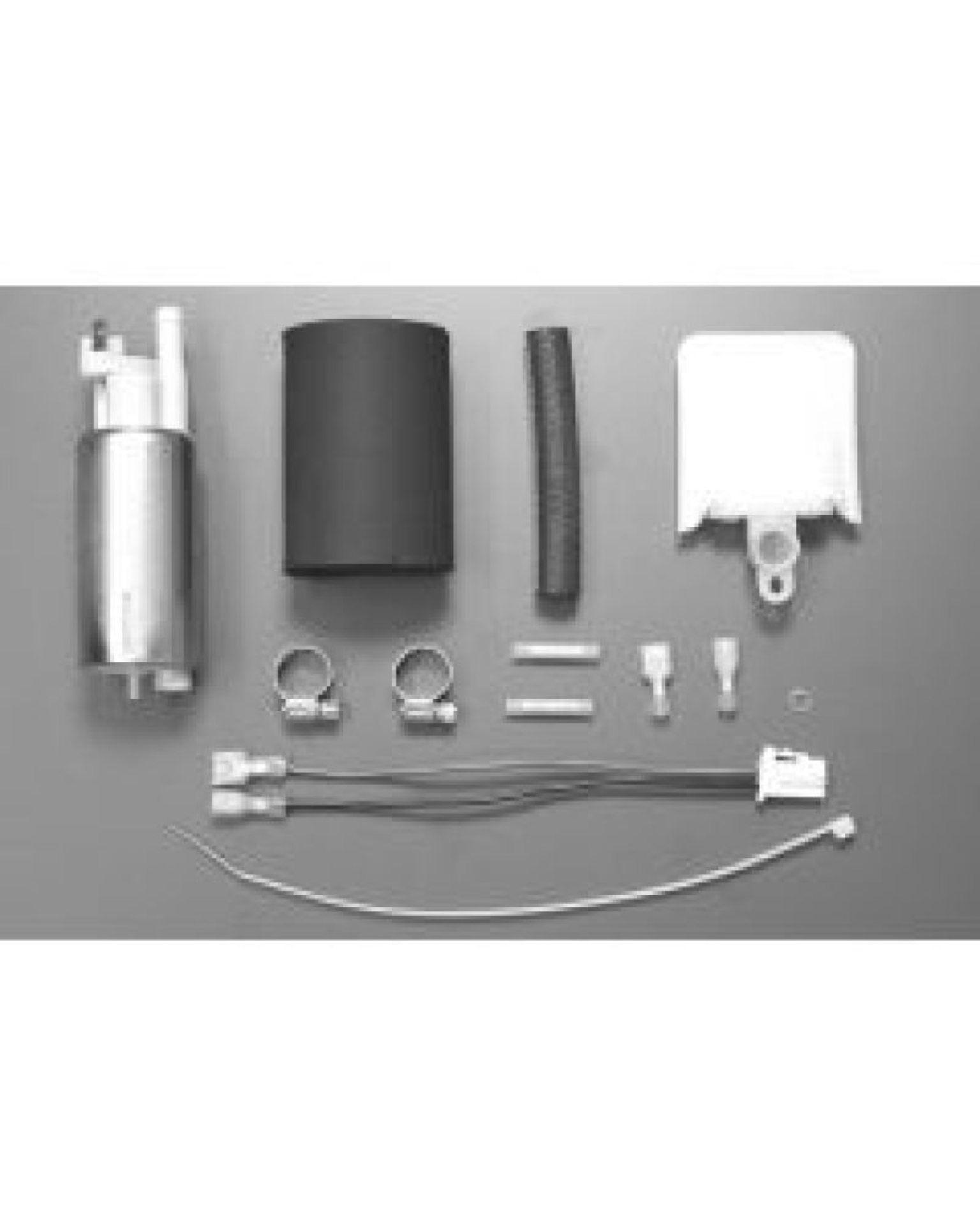 Picture of Walbro Fuel Pump/Filter Assembly