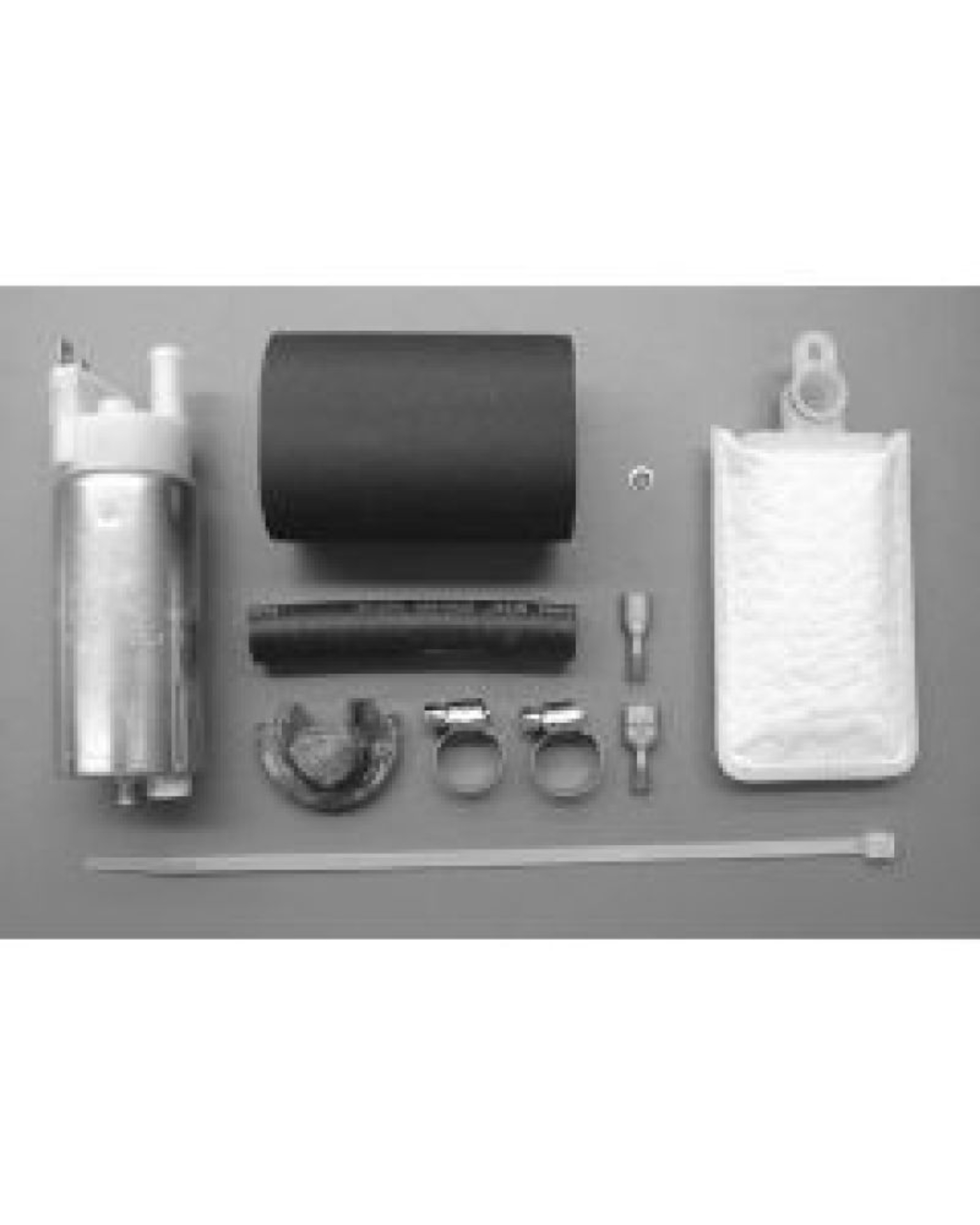 Picture of Walbro Fuel Pump/Filter Assembly