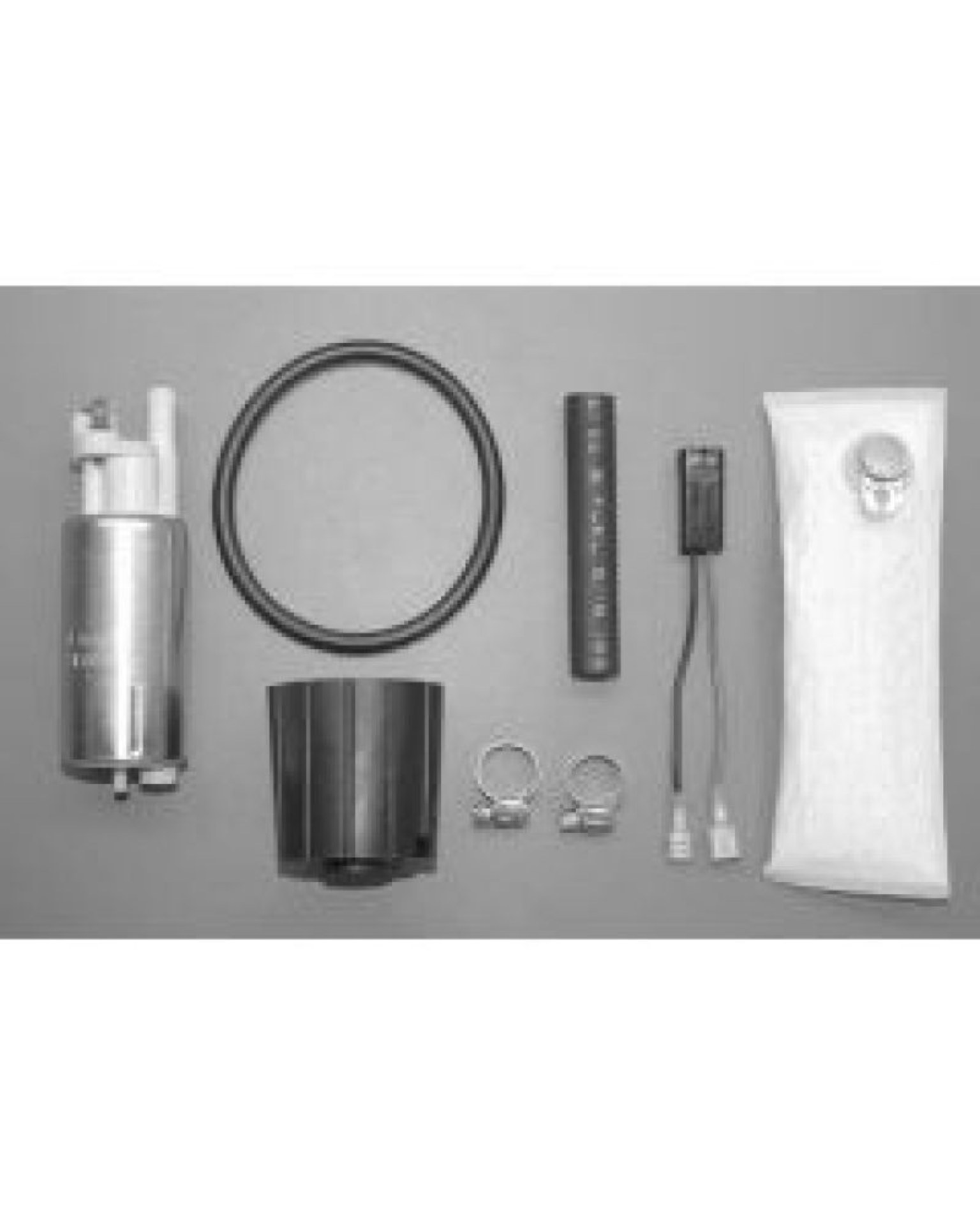 Picture of Walbro Fuel Pump/Filter Assembly