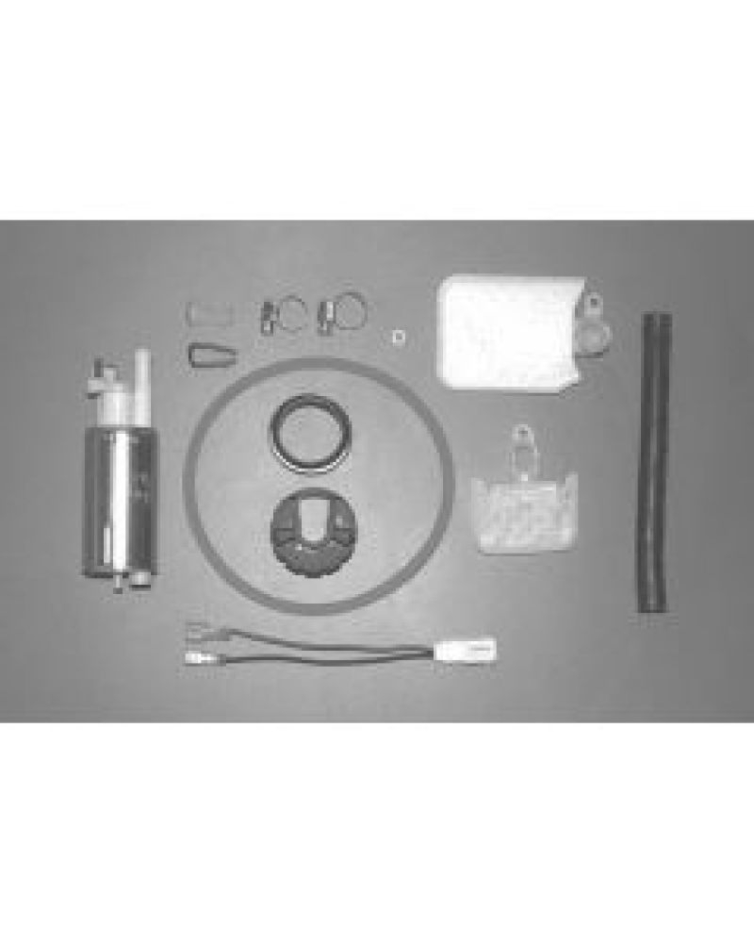 Picture of Walbro Fuel Pump/Filter Assembly