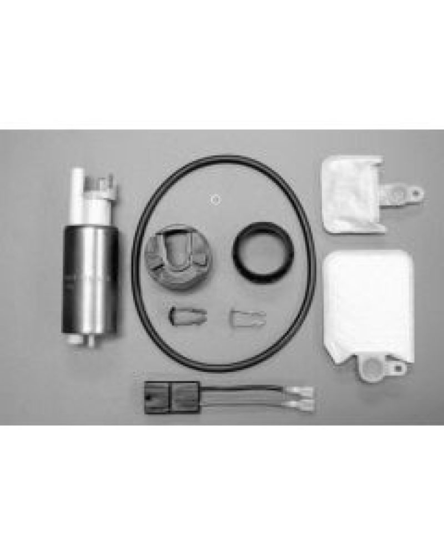 Picture of Walbro Fuel Pump/Filter Assembly