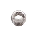 Picture of 3/4" Aluminum Allen Socket Plugs Adapter Fitting With Endura Finish