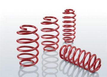 Picture of Sportline Lowering Springs