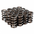 Picture of Skunk2 Racing SK Pro Valve Springs Valve Springs, Retainers - 311-05-7350