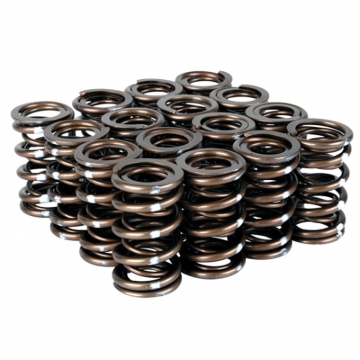 Picture of Skunk2 Pro Series Honda/Acura K-Series i-VTEC XP Valve Spring Set (Dual Springs)