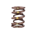 Picture of Skunk2 Racing SK Pro Valve Springs Valve Springs, Retainers - 311-05-7350