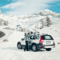 Picture of Thule SnowPack L Ski/Snowboard Rack (Up to 6 Pair Skis/4 Snowboards) - Black/Silver