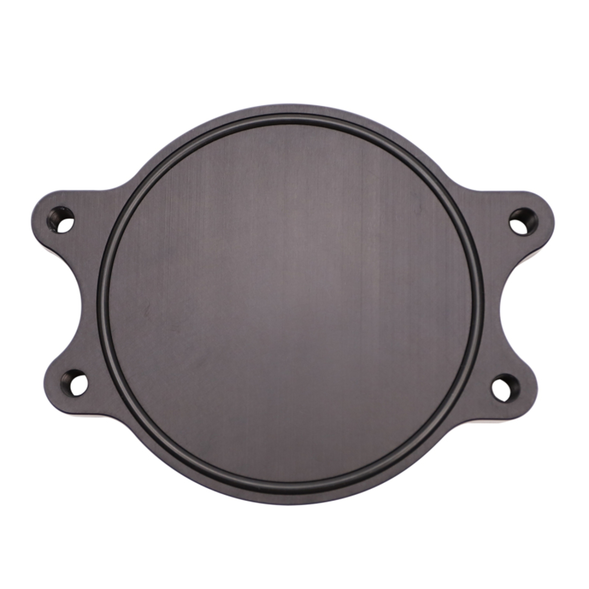 Picture of Wehrli 01-16 Chevrolet 6.6L Duramax Valley CP3 Block Off Plate