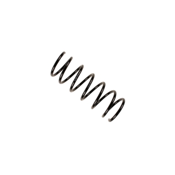 Picture of B3 OE Replacement - Coil Spring