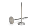 Picture of Supertech Honda K20/K24 Titanium Exhaust Valve - +1mm Oversize - Single