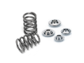 Picture of Supertech SPT Single Valve Spring Kits Valve Springs, Retainers - SPRK-TS2081-LS