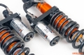 Picture of Moton MTO 3-Way Motorsport Coilover Rear - M 508 001S