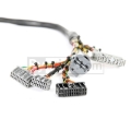 Picture of Rywire Honda B/D-Series Mil-Spec Eng Harness w/OBD1 Dist/Inj/Alternator & 92-95 Plugs (Adapter Req)