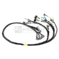 Picture of Rywire Honda B-Series OBD2 Tuck Budget Eng Harness w/OBD2 Dist/Inj/Alt/92-95 OBD1 Plug (Adapter Req)