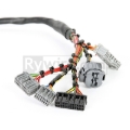 Picture of Rywire Honda B-Series Mil-Spec Eng Harness w/OBD2 Dist/Inj/Alt & OBD1 92-95 ECU Plugs (Adapter Req)