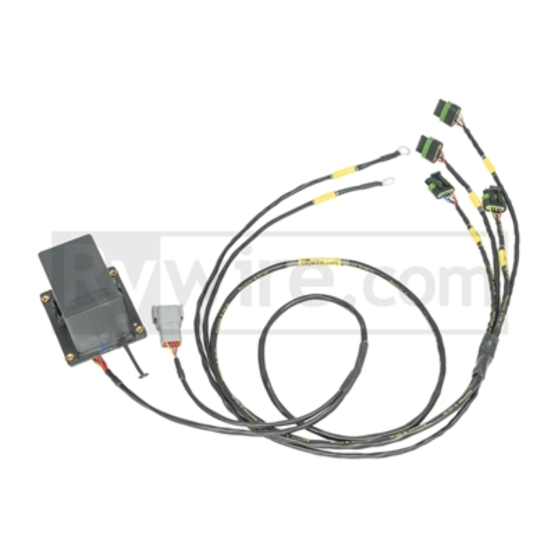 Picture of Rywire IGBT (AEM/IGN-1A) Coil Sub-Harness for 2 Rotor Engines