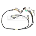 Picture of Rywire Honda B/D-Series Mil-Spec Eng Harness w/OBD1 Dist/Inj/Alternator & 92-95 Plugs (Adapter Req)