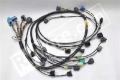 Picture of Rywire Honda S2000 AP1/AP2 (Early) Mil-Spec Engine Harness w/OEM Coils/Injector/ECU Plugs