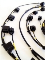 Picture of Rywire Honda S2000 AP1/AP2 (Early) Mil-Spec Engine Harness w/OEM Coils/Injector/ECU Plugs