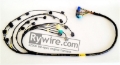 Picture of Rywire Honda S2000 AP1/AP2 (Early) Mil-Spec Engine Harness w/OEM Coils/Injector/ECU Plugs