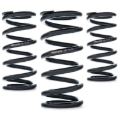 Picture of AST Linear Race Springs - 80mm Length x 190 N/mm Rate x 61mm ID - Single