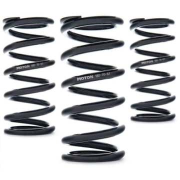 Picture of AST Linear Race Springs - 100mm Length x 180 N/mm Rate x 61mm ID - Single