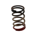 Picture of Turbosmart Gen-V WG40/45 HP 40 PSI Spring Upgrade - Black/Red