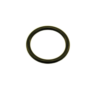 Picture of Nitrous Express 1-1/8 O-Ring (Fits 5lb/10lb/12lb/15lb Bottle Valve)