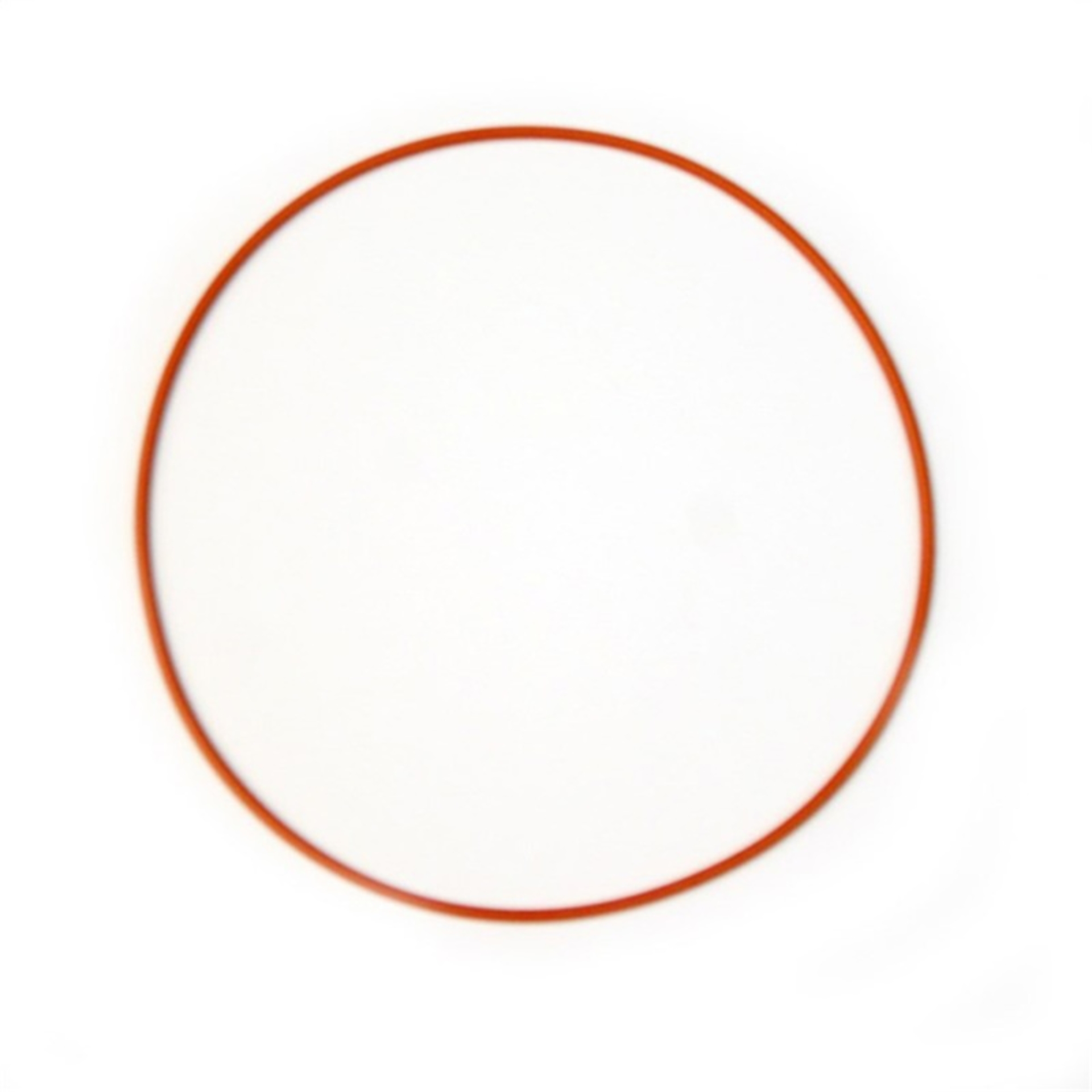 Picture of Nitrous Express Replacement O-Ring Gasket for Coyote Plate