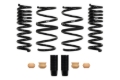 Picture of Pro-Kit Lowering Springs